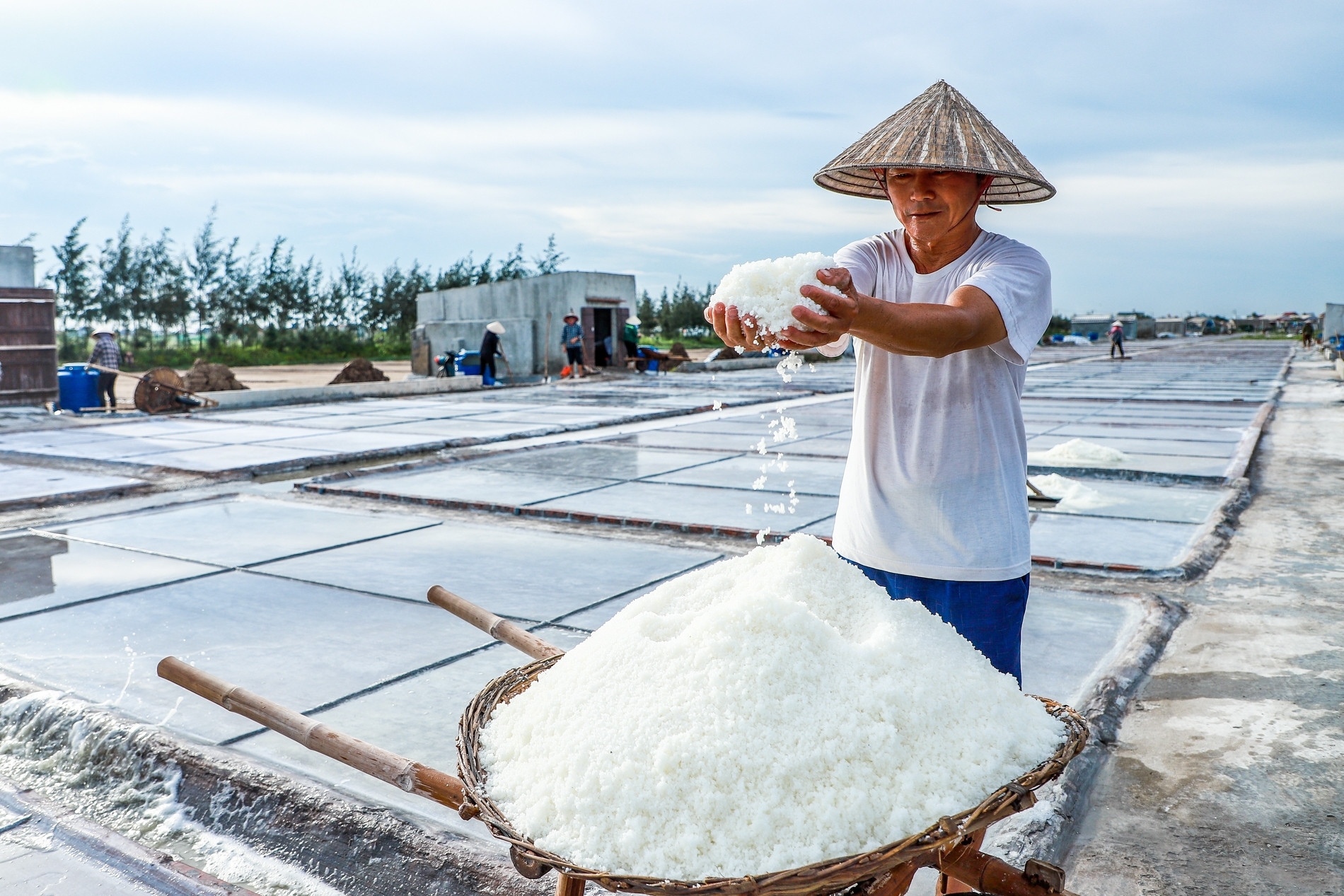 Nghề đặc biệt ở Nam Định: Nắng càng 'rát mặt' dân càng có tiền